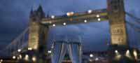 Elite Dinner Cruises